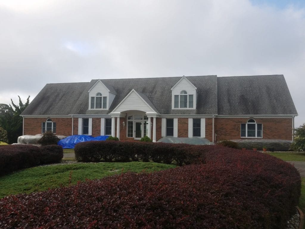 Dirty Roof Stevensville Maryland