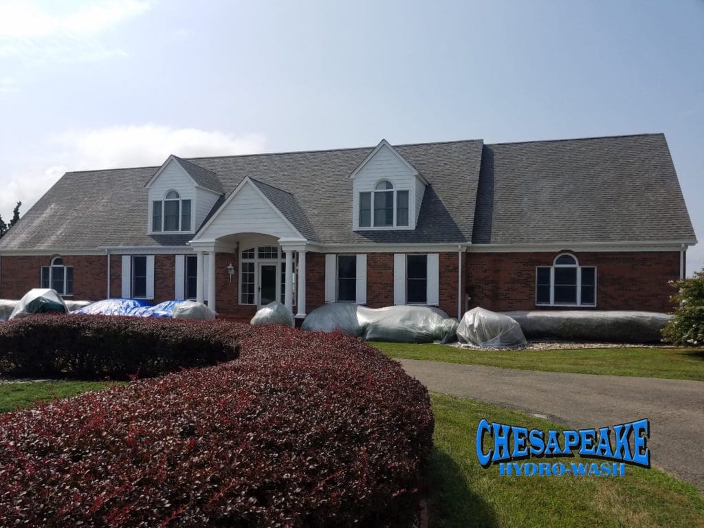 Clean Roof in Stevensville