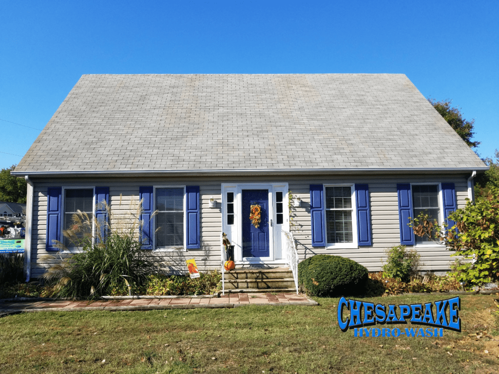 Clean Asphalt shingled roof