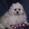 Janie Hendricks Avatar