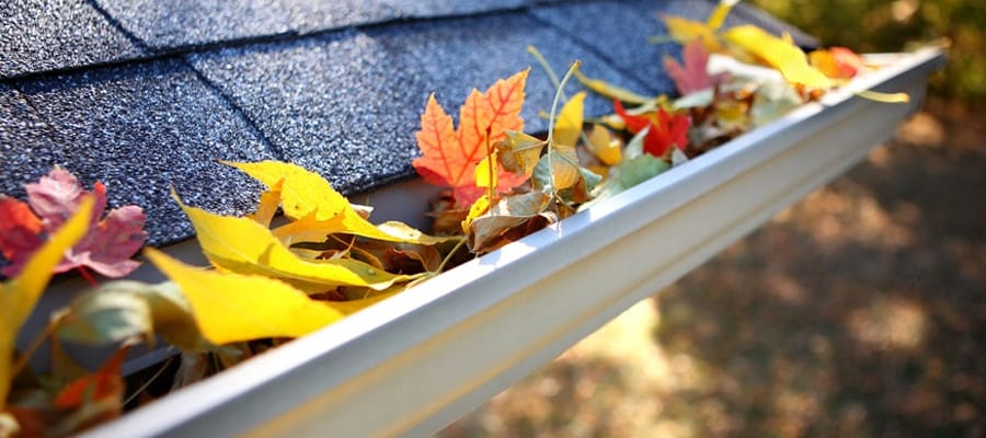 Gutter Cleaning Maryland